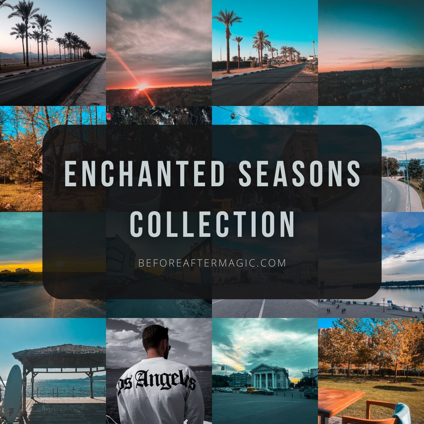 Enchanted Seasons Collection