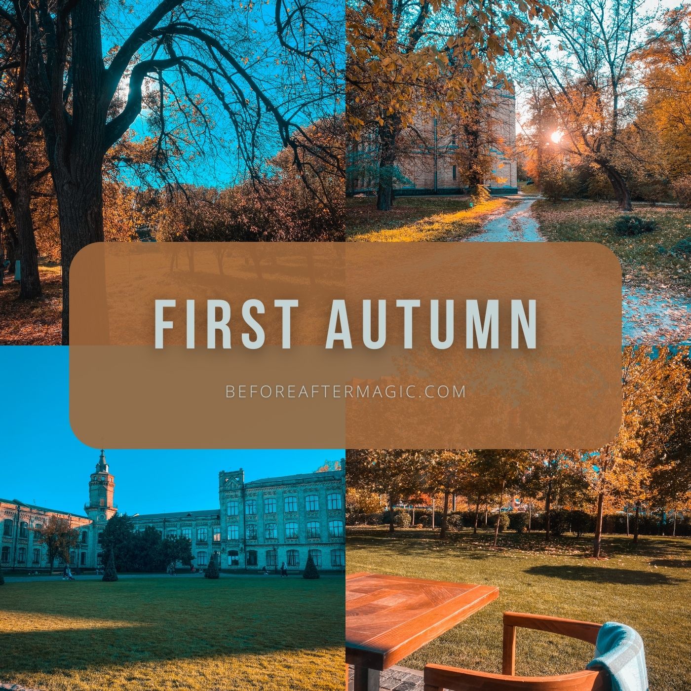 First autumn